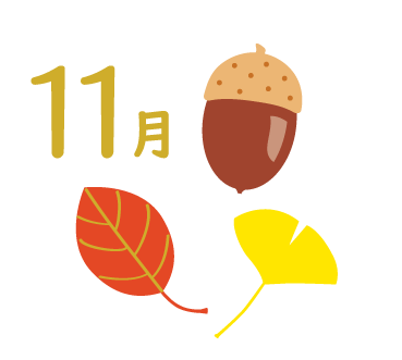 11月